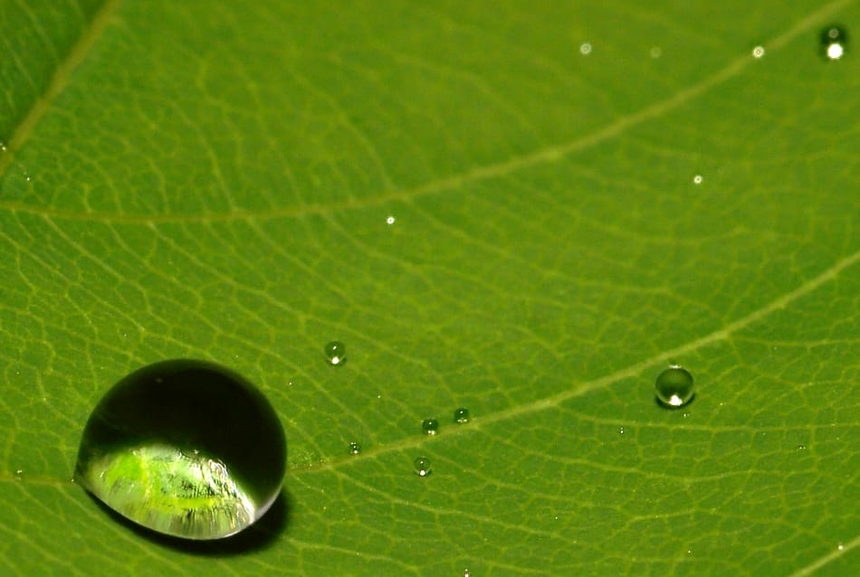 Tecnologia para a sustentabilidade 1 173 maior