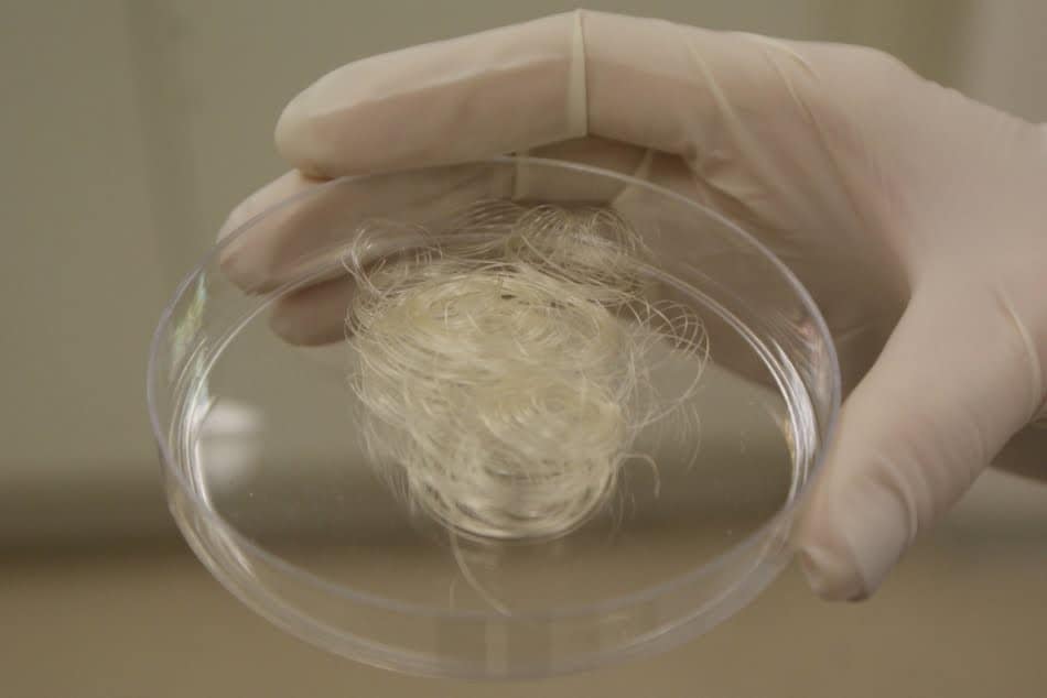 Novas fibras têxteis 4